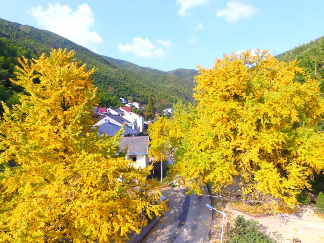 德清莫干山镇仙潭村获评中国美丽休闲乡村